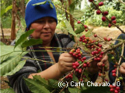 Ankündigung: VHS-Vortrag zum Kaffeeanbau in Nicaragua